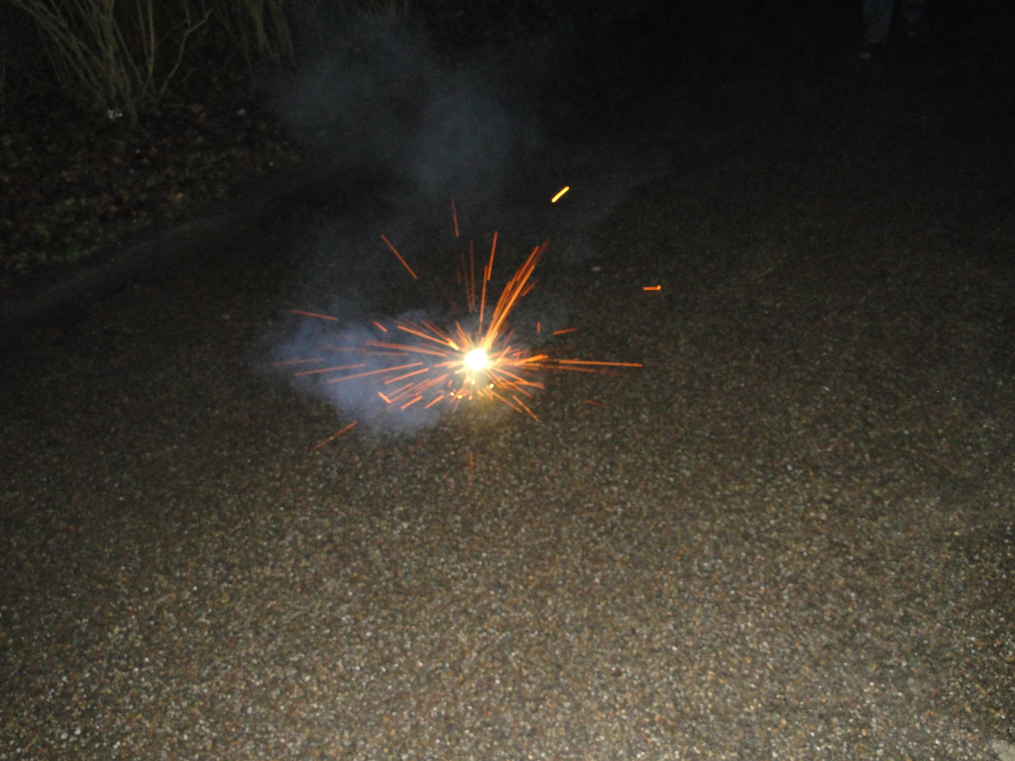 NWK 2010 034.jpg
